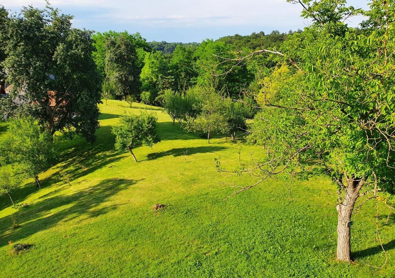 Green Eden Gornji Zvečaj Exterior foto