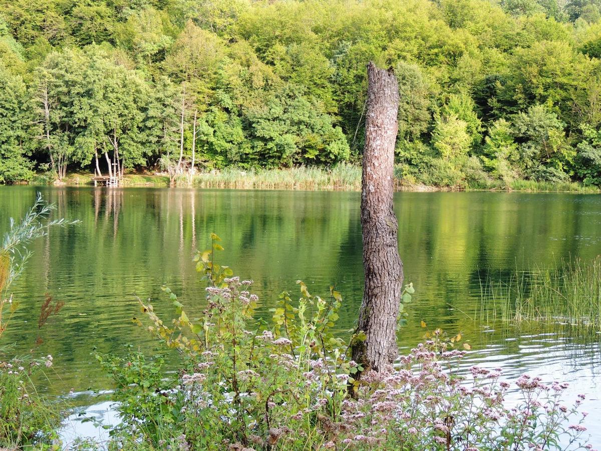 Green Eden Gornji Zvečaj Exterior foto